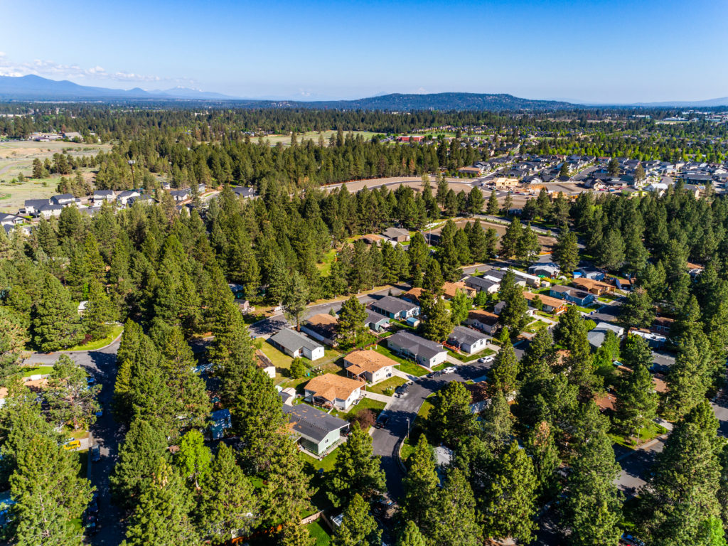 An aerial view of a neighborhood with houses and trees.