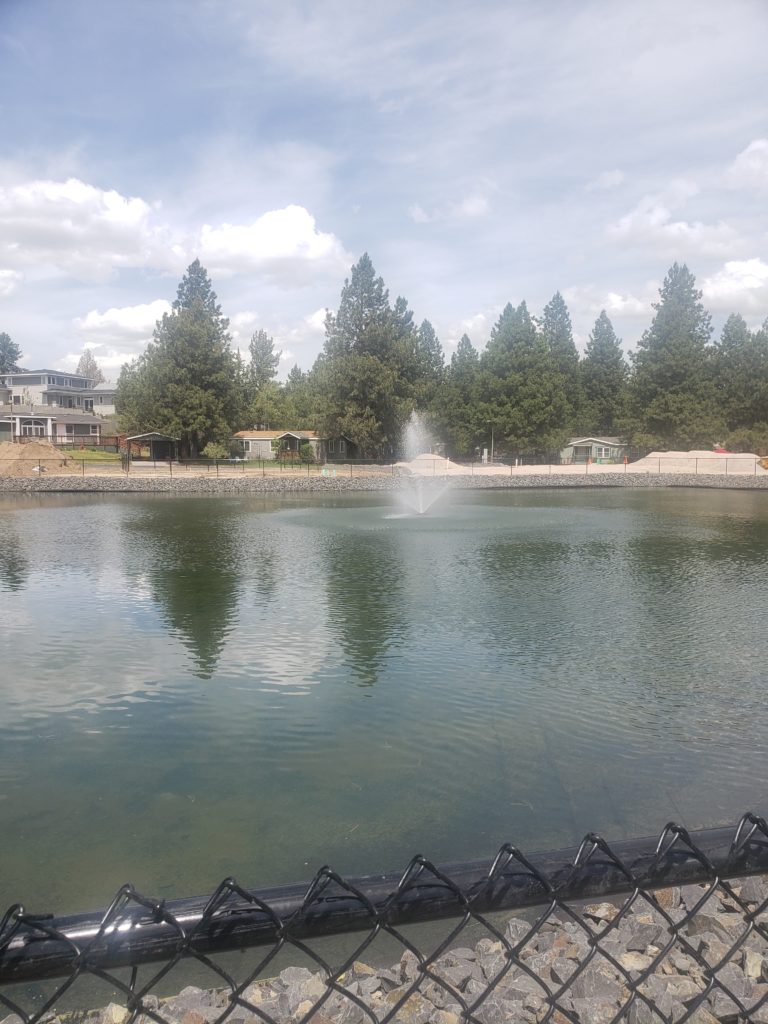 A pond with a fountain in the middle of it.
