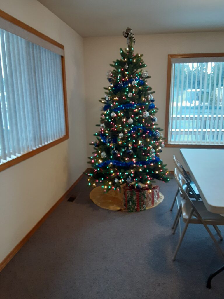A christmas tree in a room.