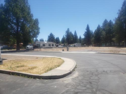 A rv park with a lot of trees in the background.
