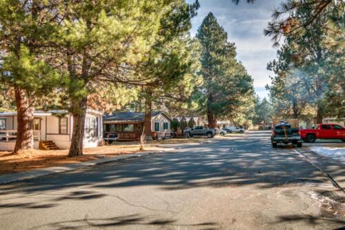 A street lined with mobile homes and trees.